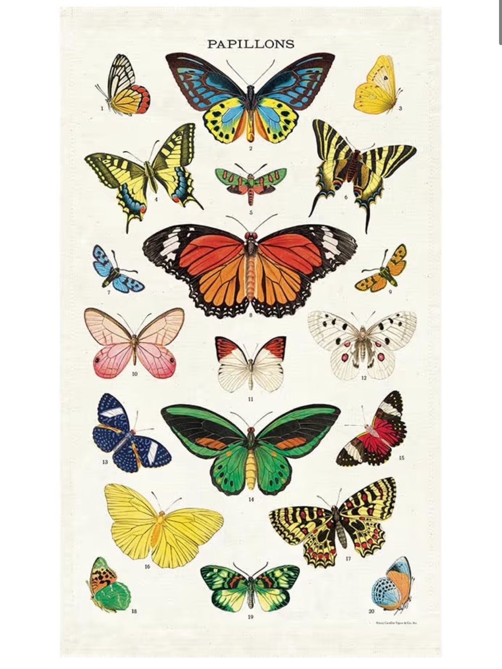 Cavallini & Co. Vintage Tea Towel - Butterflies